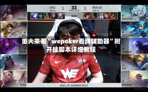 重大来袭“wepoker看牌辅助器”附开挂脚本详细教程-第1张图片