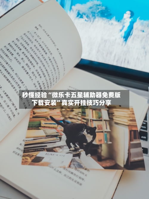 秒懂经验“微乐卡五星辅助器免费版下载安装	”真实开挂技巧分享-第1张图片