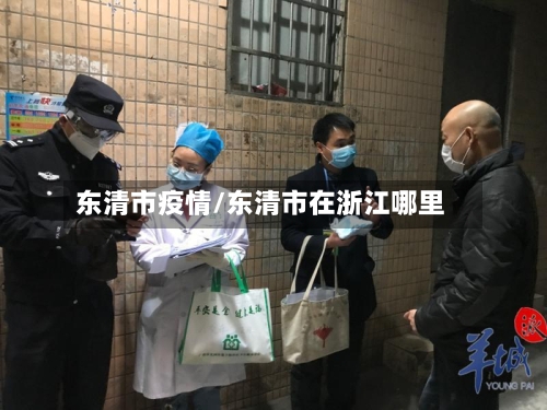 东清市疫情/东清市在浙江哪里-第3张图片