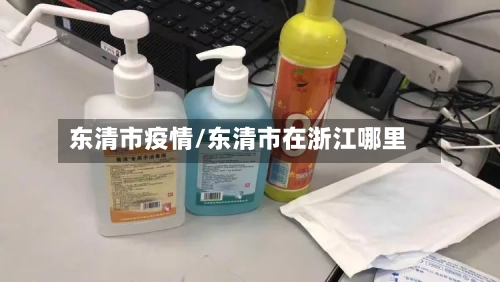 东清市疫情/东清市在浙江哪里-第1张图片