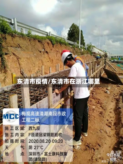 东清市疫情/东清市在浙江哪里-第2张图片