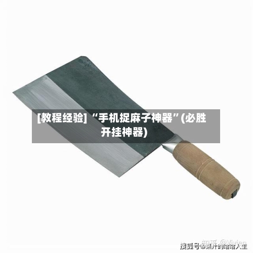 [教程经验] “手机捉麻子神器	”(必胜开挂神器)-第2张图片