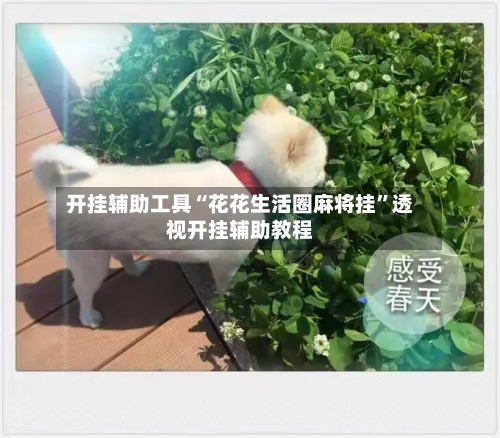开挂辅助工具“花花生活圈麻将挂	”透视开挂辅助教程-第1张图片