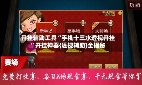 开挂辅助工具“手机十三水透视开挂”开挂神器{透视辅助}全揭秘-第3张图片