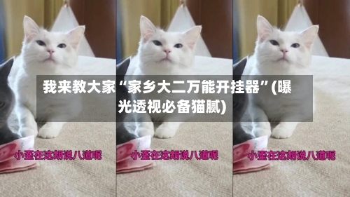我来教大家“家乡大二万能开挂器”(曝光透视必备猫腻)-第1张图片