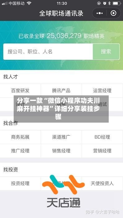 分享一款“微信小程序功夫川麻开挂神器	”详细分享装挂步骤-第1张图片
