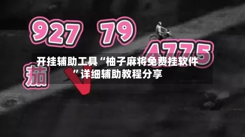 开挂辅助工具“柚子麻将免费挂软件	”详细辅助教程分享-第1张图片
