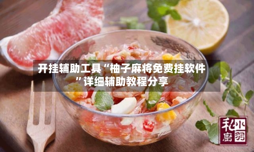 开挂辅助工具“柚子麻将免费挂软件”详细辅助教程分享-第2张图片