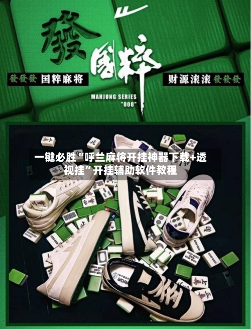 一键必胜“呼兰麻将开挂神器下载+透视挂”开挂辅助软件教程-第3张图片