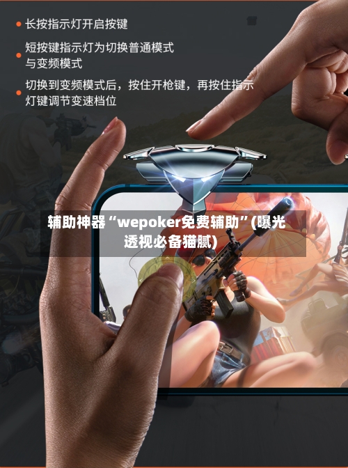 辅助神器“wepoker免费辅助”(曝光透视必备猫腻)-第1张图片