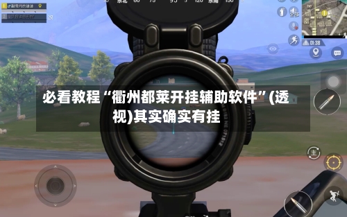 必看教程“衢州都莱开挂辅助软件”(透视)其实确实有挂-第1张图片