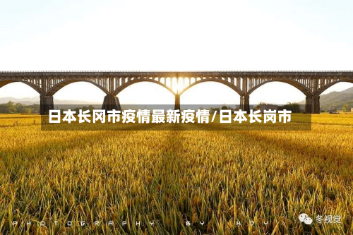 日本长冈市疫情最新疫情/日本长岗市-第2张图片