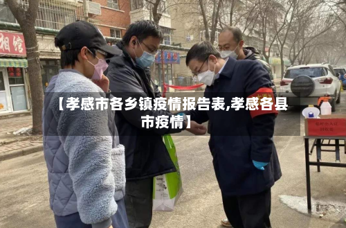 【孝感市各乡镇疫情报告表,孝感各县市疫情】-第3张图片