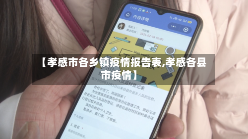 【孝感市各乡镇疫情报告表,孝感各县市疫情】-第1张图片
