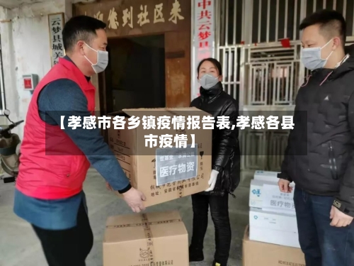 【孝感市各乡镇疫情报告表,孝感各县市疫情】-第2张图片