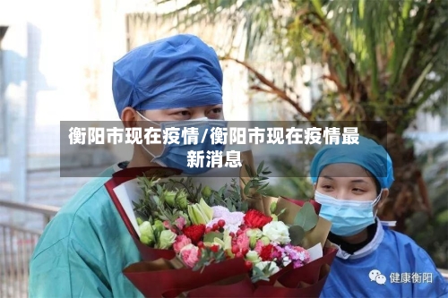 衡阳市现在疫情/衡阳市现在疫情最新消息-第2张图片
