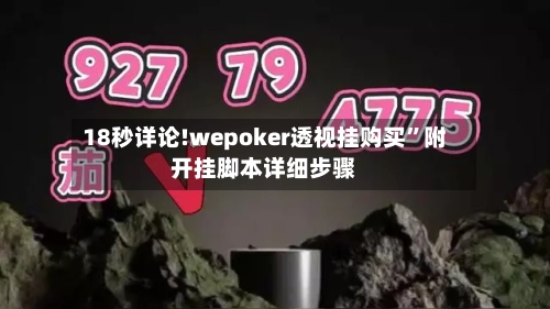 18秒详论!wepoker透视挂购买”附开挂脚本详细步骤-第3张图片