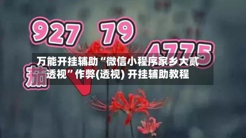 万能开挂辅助“微信小程序家乡大贰透视	”作弊(透视) 开挂辅助教程-第1张图片