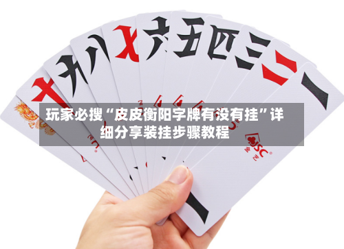 玩家必搜“皮皮衡阳字牌有没有挂”详细分享装挂步骤教程-第3张图片