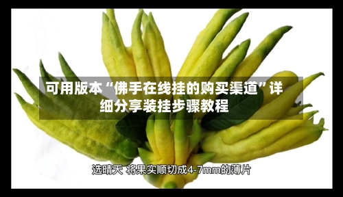 可用版本“佛手在线挂的购买渠道”详细分享装挂步骤教程-第2张图片