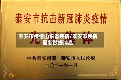 泰安市疫情山东省疫情/泰安市疫情最新数据消息-第3张图片