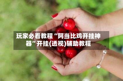 玩家必看教程“阿当比鸡开挂神器	”开挂(透视)辅助教程-第3张图片