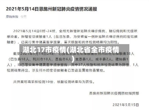 湖北17市疫情(湖北省全市疫情)-第2张图片