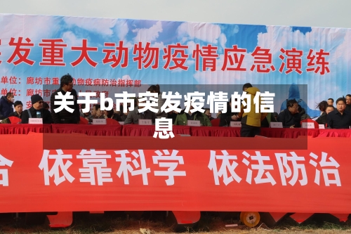 关于b市突发疫情的信息-第2张图片