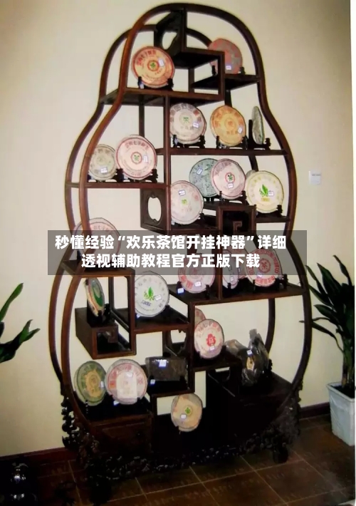 秒懂经验“欢乐茶馆开挂神器”详细透视辅助教程官方正版下载-第2张图片