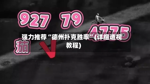 强力推荐“德州扑克胜率”(详细透视教程)-第1张图片