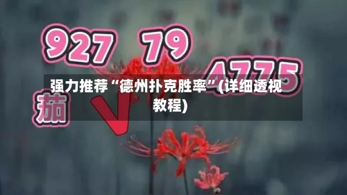 强力推荐“德州扑克胜率	”(详细透视教程)-第2张图片