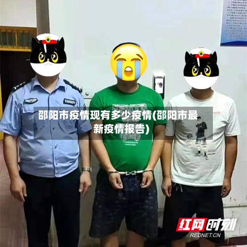 邵阳市疫情现有多少疫情(邵阳市最新疫情报告)-第2张图片