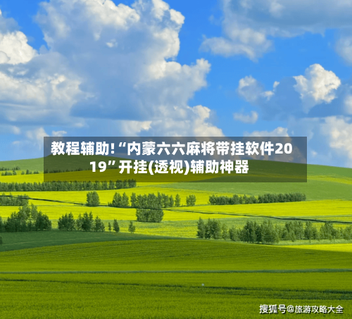 教程辅助!“内蒙六六麻将带挂软件2019”开挂(透视)辅助神器-第3张图片
