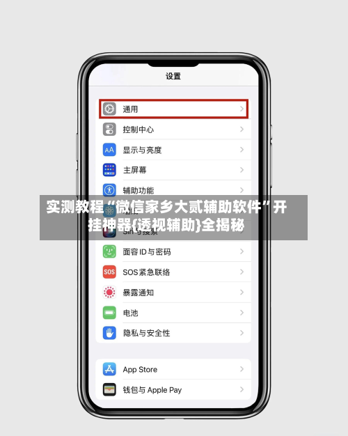 实测教程“微信家乡大贰辅助软件”开挂神器{透视辅助}全揭秘-第3张图片