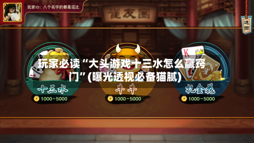 玩家必读“大头游戏十三水怎么赢窍门”(曝光透视必备猫腻)-第2张图片