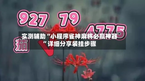 实测辅助“小程序雀神麻将必赢神器	”详细分享装挂步骤-第1张图片