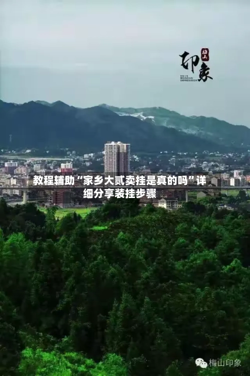 教程辅助“家乡大贰卖挂是真的吗	”详细分享装挂步骤-第2张图片
