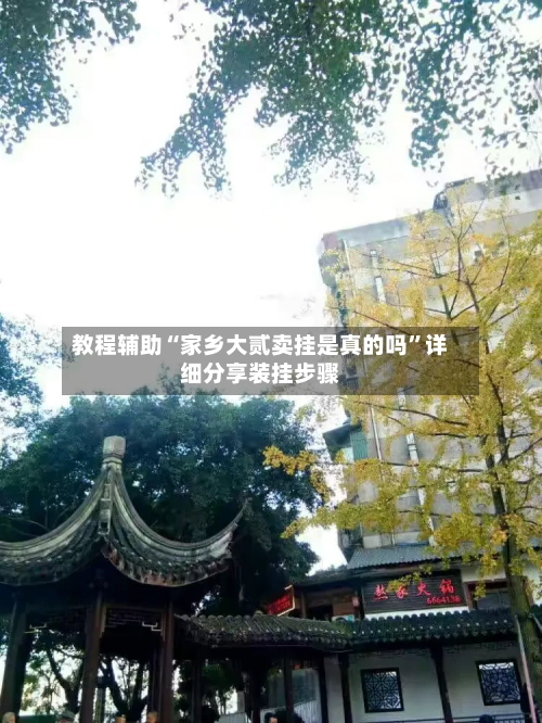 教程辅助“家乡大贰卖挂是真的吗”详细分享装挂步骤-第3张图片