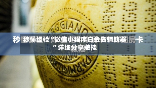 秒懂经验“微信小程序白金岛辅助器”详细分享装挂-第1张图片