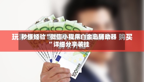 秒懂经验“微信小程序白金岛辅助器”详细分享装挂-第2张图片
