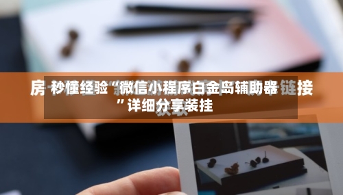 秒懂经验“微信小程序白金岛辅助器	”详细分享装挂-第3张图片