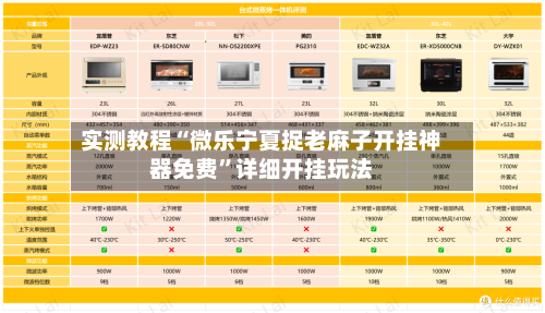 实测教程“微乐宁夏捉老麻子开挂神器免费”详细开挂玩法-第1张图片