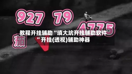 教程开挂辅助“填大坑开挂辅助软件”开挂(透视)辅助神器-第1张图片