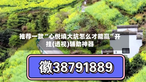 推荐一款“心悦填大坑怎么才能赢”开挂(透视)辅助神器-第1张图片