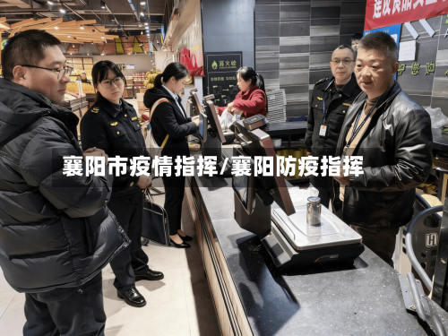 襄阳市疫情指挥/襄阳防疫指挥-第3张图片