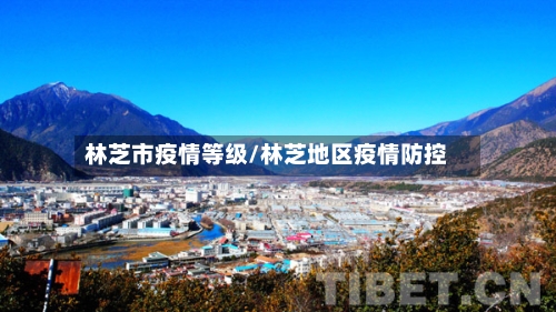 林芝市疫情等级/林芝地区疫情防控-第2张图片