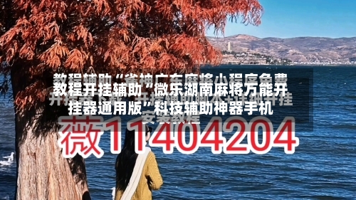 教程开挂辅助“微乐湖南麻将万能开挂器通用版”科技辅助神器手机-第3张图片