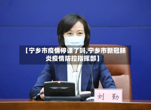 【宁乡市疫情停课了吗,宁乡市新冠肺炎疫情防控指挥部】-第1张图片