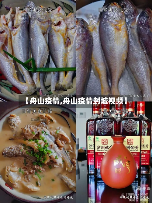 【舟山疫情,舟山疫情封城视频】-第3张图片
