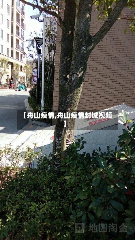 【舟山疫情,舟山疫情封城视频】-第1张图片